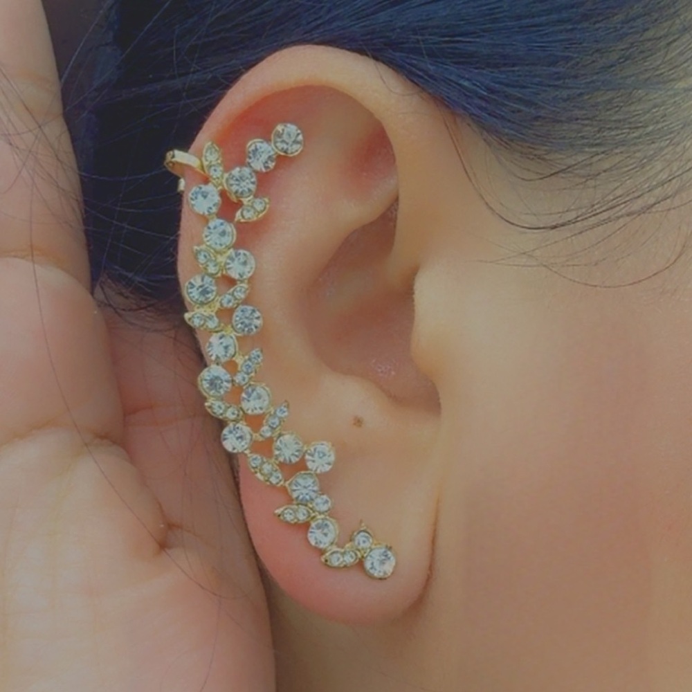 Crystal climbing earring